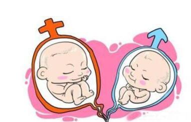 胚胎实验室